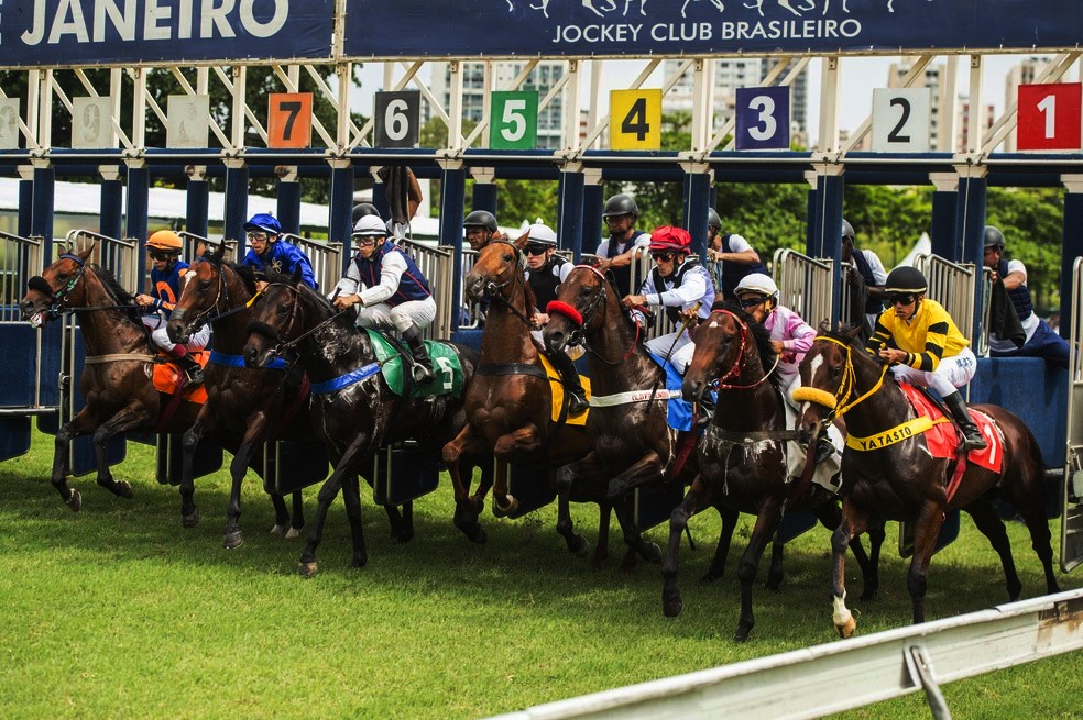 Conheça o Jockey Club Brasileiro.